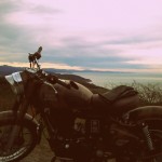 royal enfield classic despatch desert storm-001